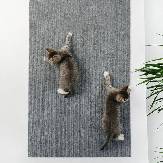 ScratchGuard™