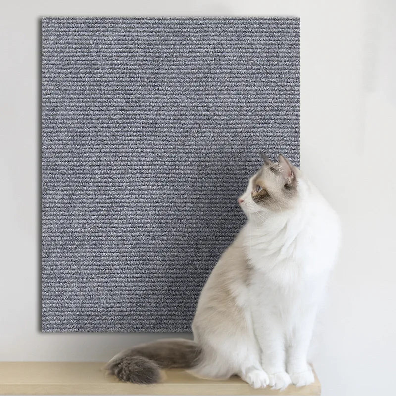 ScratchGuard™
