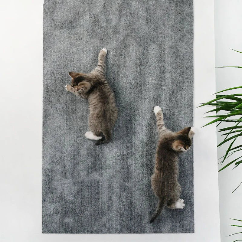ScratchGuard™
